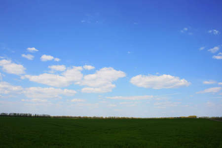 green field and blue cloudy sky, rural landsacpeの写真素材