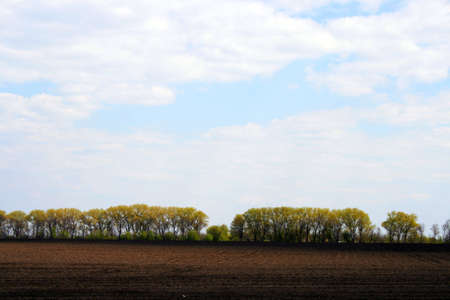 empty field and blue cloudy sky, rural landsacpe,  trees on backgroundの写真素材
