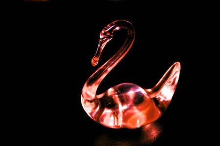 glass swan on black backgound, abstract photoの写真素材