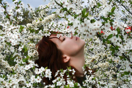 A beautiful girl enjoying the sunny weather in the middle of blooming cherry treeの写真素材