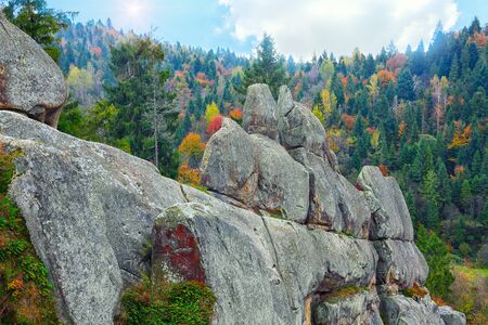 Autumn forest in the mountains. Multicoloured forestの写真素材