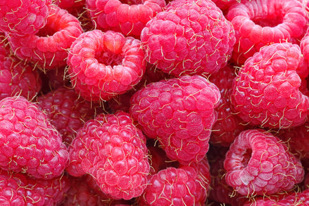 Red Raspberries as background. Ripe raspberries