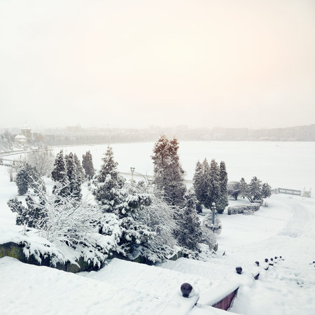 Snow-covered trees in the city park. Sunsetの写真素材