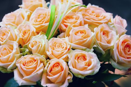 Bouquet of rosesの写真素材