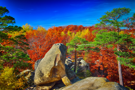 beautiful mountain Landscape. Colorful and bright autumn forest in rocks. Blue skyの写真素材