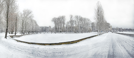 Snow-covered trees in the city park. Lots of snowの写真素材