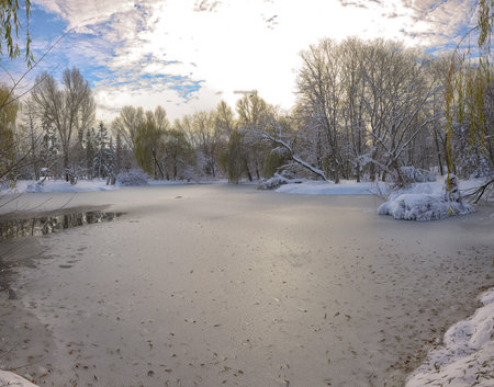 Scenic view of the frozen pond with willow tree and first snow. Fallen Leaves on the Snowの写真素材