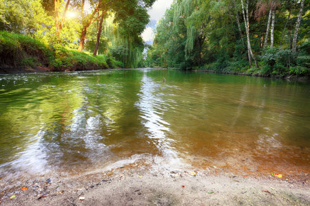River deep in mountain forest. Nature composition