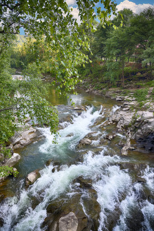 Spring river landscape. Fast stream in a mountain forest on a spring time.
