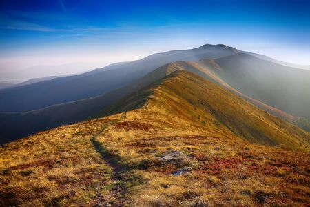 winding road through meadows of mountain range. Beautiful landscape in the mountainの写真素材