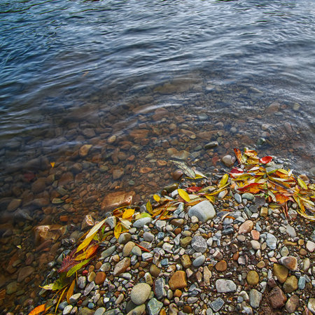 rocky shore of the river. Autumn timeの写真素材