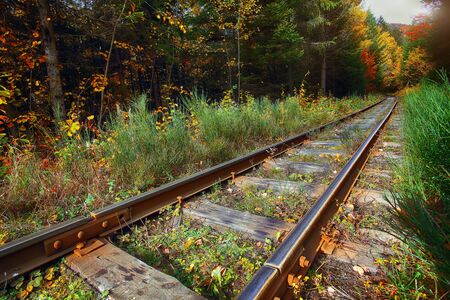 Railroad tracks go through autumn mountain forest. Sunny weatherの写真素材