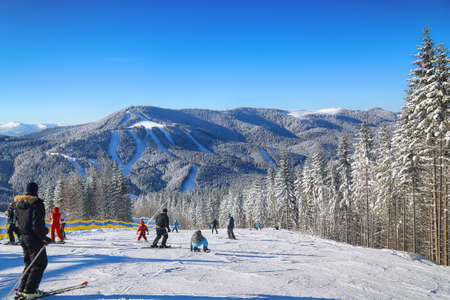 Pine on a mountain slope.Beautiful blue sky. Ski routeの写真素材