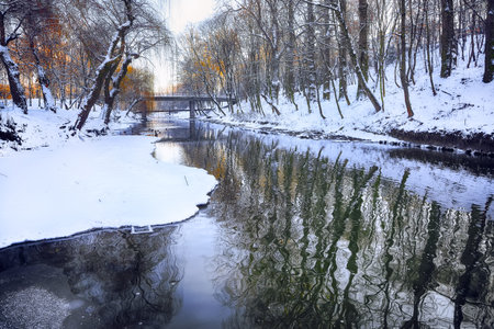 Scenic view of the river and trees covered by snow.