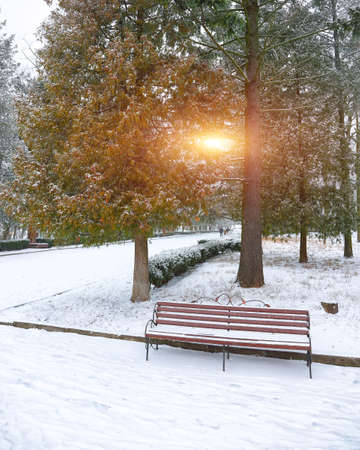 Park bench and trees covered by heavy snow. Lots of snow.Sunset timeの写真素材