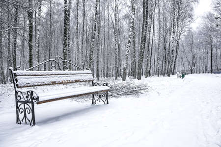 Park bench and trees covered by heavy snow. Lots of snowの写真素材