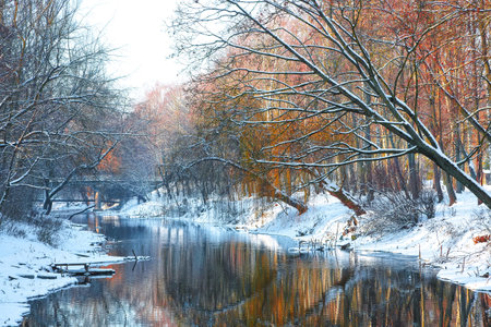 Scenic view of the river and trees covered by snow.
