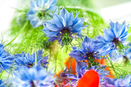 Cornflower in the bouquet. Close-up shoot.の写真素材