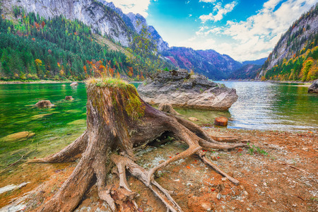 Beautiful view of idyllic colorful autumn scenery with Dachstein mountain summit by Gosausee mountain lake in fall Salzkammergut region Upper Austria Austriaの写真素材