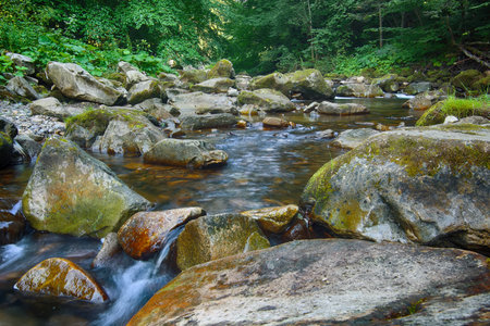 Fairy mountain forest at the river. Fantastic landscape with trees, green leaves, stones and blurred...