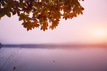 Misty morning on the lake Altausseer See. Foggy autumn scene in the morning.Yellow maple leaves. Location: resort Altausseer see, Liezen District of Styria, Austria, Alps. Europe.の写真素材