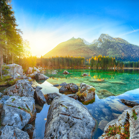 Fantastic autumn sunrise of Hintersee lake. Beautiful scene of trees near turquoise water of Hintersee lake. Location: resort Ramsau, National park Berchtesgadener Land, Upper Bavaria, Germany Alps, Europeの写真素材