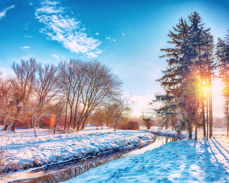 Sunlight breaks through the trees in winter. Lots of snow.の写真素材