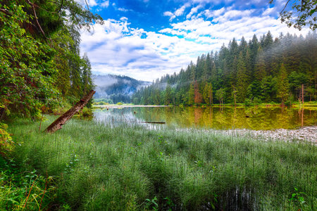 Majestic summer view of mountain lake Lacul Rosu or Red Lake or Killer Lake. Rotten tree trunks....