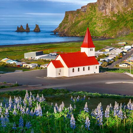 Splendid view of Vikurkirkja christian church in blooming lupine flowers. Scenic image of most popular tourist destination.Location: Vik village in Myrdal Valley, Iceland, Europe.の写真素材