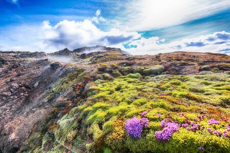 Exotic view of lavas field in the geothermal valley Leirhnjukur, near Krafla volcano. Location: valley Leirhnjukur, Myvatn region, North part of Iceland, Europeの写真素材