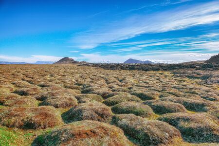 Frozen lavas field in the geothermal valley Leirhnjukur, near Krafla volcano. Location: valley Leirhnjukur, Myvatn region, North part of Iceland, Europeの写真素材