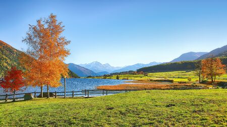 Splendid autumn panorama of Haidersee (Lago della Muta) lake with Ortler peak on background.Location: Lago della Muta or Haidersee, South Tyrol province, Region Trentino-Alto Adige, Italy, Europeの写真素材