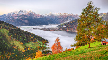 Spectacular autumn view of lake meadows trees and mountains in Sell Am See. Fantastic sunrise over lake. Location:  Zell am See, Salzburger Land, Austria, Europeの写真素材