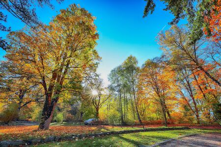 Spectacular autumn view of lake and trees in city park of Sell Am See. Fantastic sunny day over lake. Location:  Zell am See, Salzburger Land, Austria, Europeの写真素材