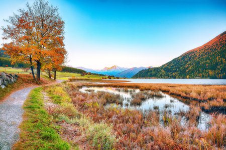 Splendid autumn panorama of Haidersee (Lago della Muta) lake with Ortler peak on background.Location: Lago della Muta or Haidersee, South Tyrol province, Region Trentino-Alto Adige, Italy, Europeの写真素材