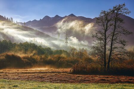 Spectacular autumn view of meadow in morning mist near Sell Am See. Splendid autumn view of Austrian Alps Location: Zell am See, Salzburger Land, Austria, Europeの写真素材