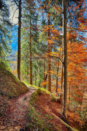 Picturesque autumn forest. Fantasic Autumn landscape with colorful trees.Location: village of...