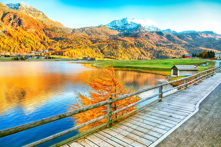 Awesome autumn panorama of Silvaplana lake and Surlej village. Location: Silvaplana, Maloya...