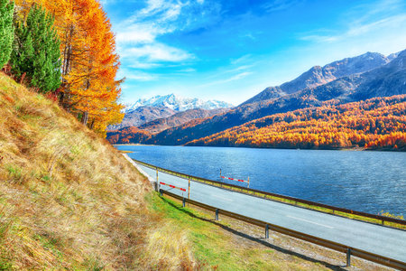 Fantastic autumn scene on  Sils Lake (Silsersee) and asphalt road in the front. Colorful autumn...