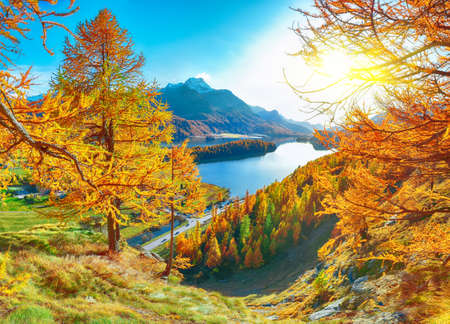 Astonishing autumn panorama over Sils im Engadin (Segl) village and Sils lake(Silsersee). Location: Sils im Engadin, Maloya district, Engadine region, Grisons canton, Switzerland, Europe.の写真素材