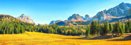 Scenic image of meadow in National Park Tre Cime di Lavaredo. Location: National Park Tre Cime di...