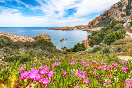 Gorgeous view of popular travel destination Costa Paradiso. Picturesque landcape of Mediterranean sea. Location: Costa Paradiso, Province of Sassari, Sardinia, Italy, Europeの写真素材