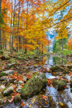 Spectacular autumn scene of Hinterer Langbathsee lake. Poppular travell destination. Location: Vorderer Langbathsee, Salzkammergut region, Upper Austria, Austria, Europe.の写真素材