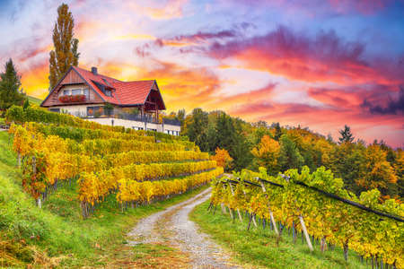 Fabulous vineyards landscape in South Styria near Gamlitz. Autumn scene of grape hills in popular travell destination Eckberg. Location: Gamlitz, district of Leibnitz in Styria, Austria. Europe.の写真素材