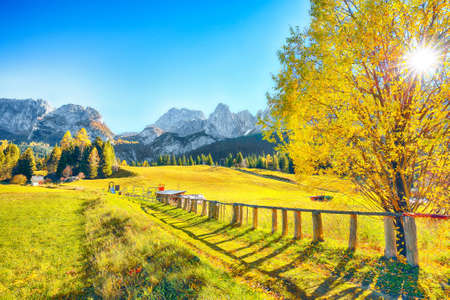 Scenic image of meadow in National Park Tre Cime di Lavaredo. Location: National Park Tre Cime di Lavaredo, Dolomiti alps, South Tyrol, Italy, Europe.の写真素材