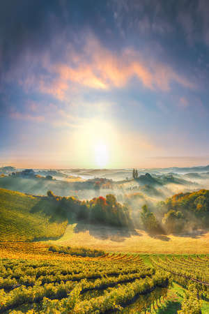 Fabulous vineyards landscape in South Styria near Gamlitz. Autumn scene of grape hills in popular travell destination Eckberg. Location: Gamlitz, district of Leibnitz in Styria, Austria. Europe.の写真素材