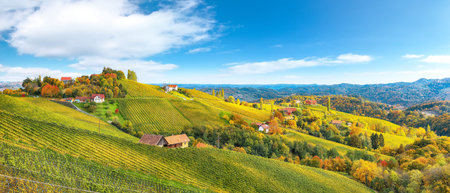 Spectacular vineyards landscape in South Styria near Gamlitz. Autumn scene of grape hills in popular...