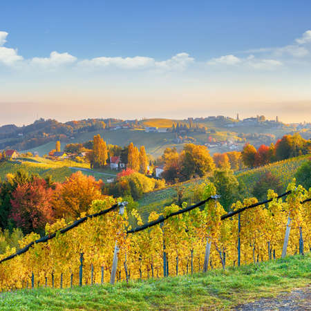 Stunning vineyards landscape in South Styria near Gamlitz. Autumn scene of grape hills in popular travell destination Eckberg. Location: Gamlitz, district of Leibnitz in Styria, Austria. Europe.の写真素材