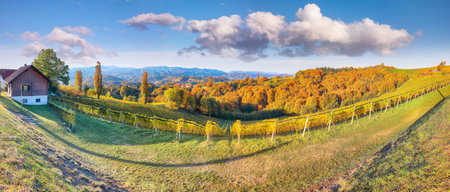 Splendid vineyards landscape in South Styria near Gamlitz. Autumn scene of grape hills in popular...