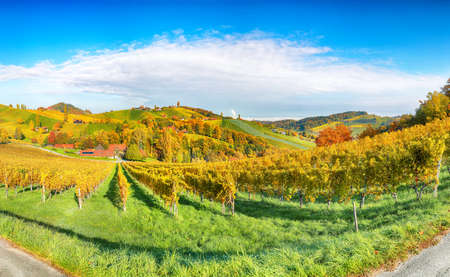 Splendid vineyards landscape in South Styria near Gamlitz. Autumn scene of grape hills in popular travell destination Eckberg. Location: Gamlitz, district of Leibnitz in Styria, Austria. Europe.の写真素材